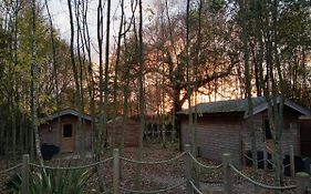 Riddings Wood Lodges 4*